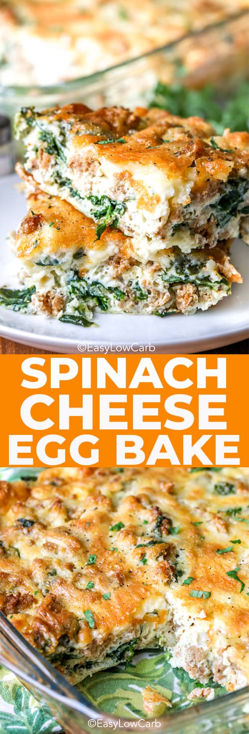 slices of Spinach Cheese Egg Bake, casserole dish with Spinach Cheese Egg Bake