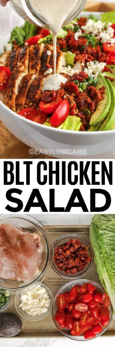BLT Chicken Salad (Entree Style Salad!) - Easy Low Carb
