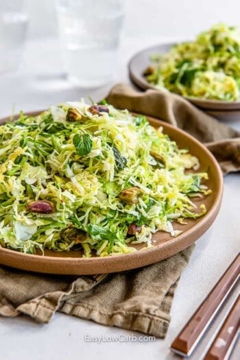 Shredded Brussel Sprout Slaw (Quick 15 Minute Prep!) - Easy Low Carb