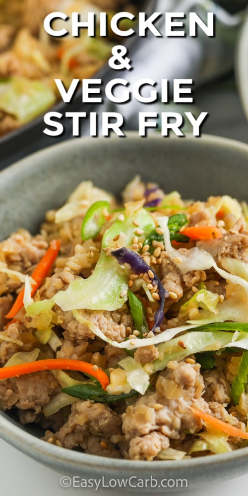 Easy Stir Fry Chicken and Vegetables in a bowl with writing