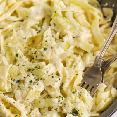 Cabbage Noodles Alfredo in a frying pan with a fork