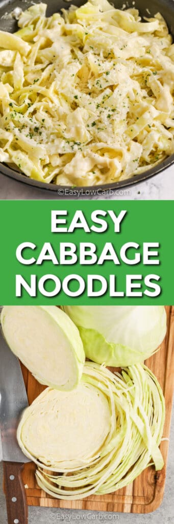 Cabbage Noodles Alfredo Easy 10 Minute Prep Easy Low Carb