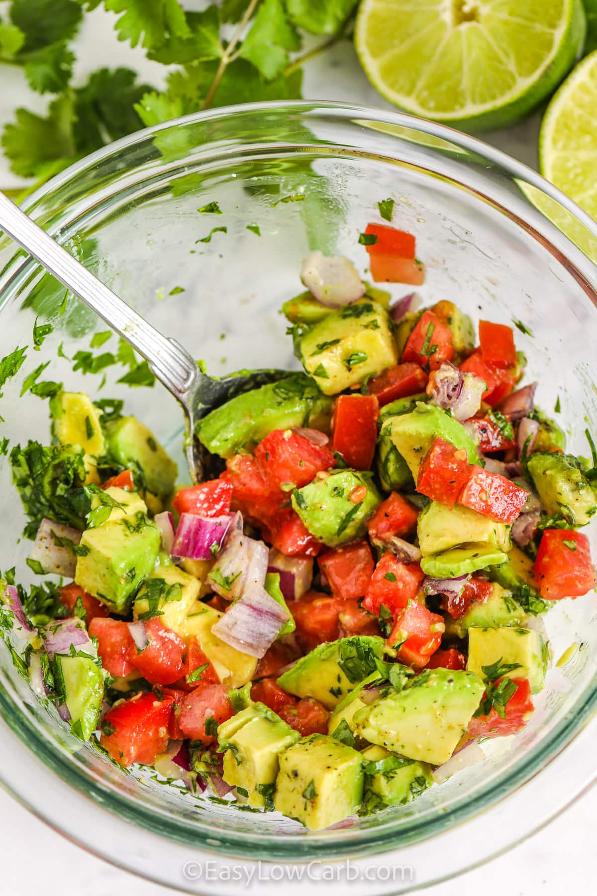 Avocado Salsa in a bowl with a spoon