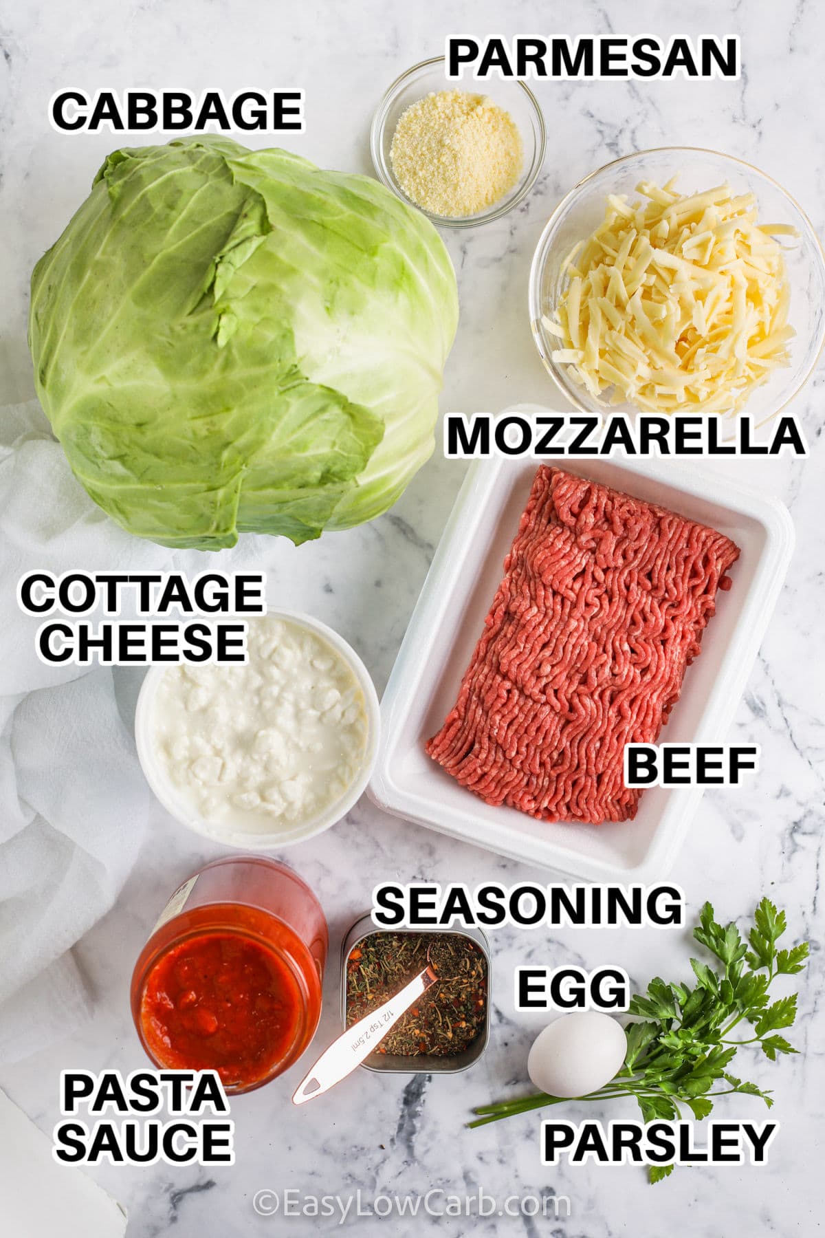 cabbage , cheese, beef , pasta sauce and seasonings to make Cabbage Lasagna with labels