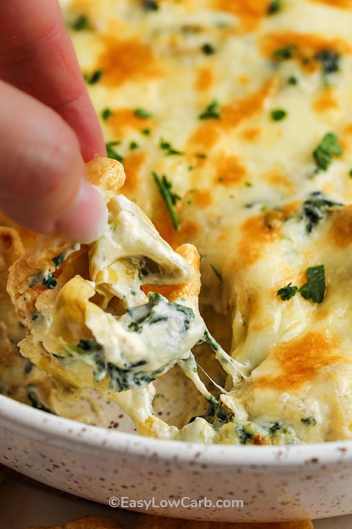 artichoke spinach dip being scooped out of a dish