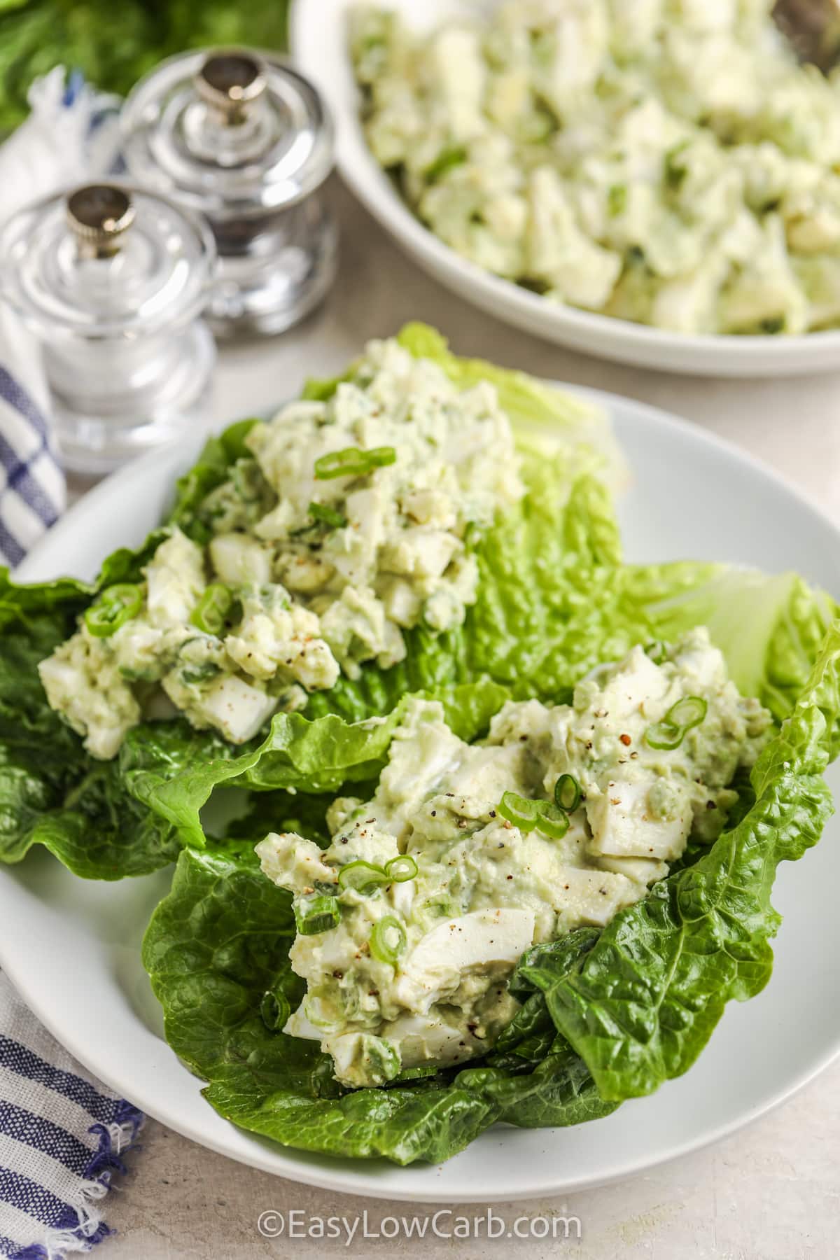 plated Avocado Egg Salad and lettuce