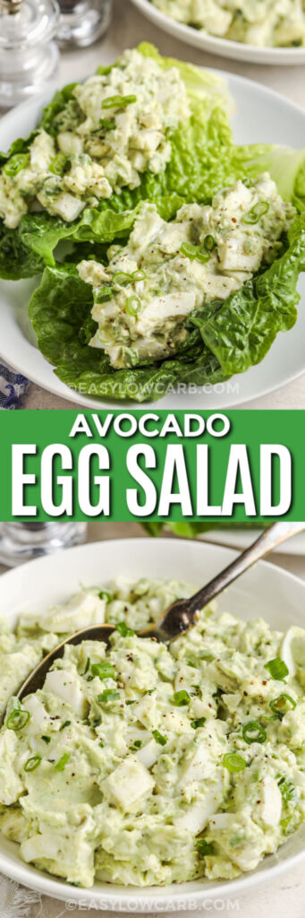 Avocado Egg Salad in a bowl and on lettuce with a title