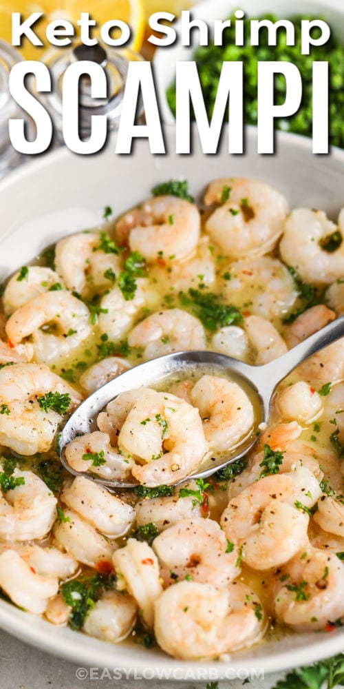 close up of Shrimp Scampi with writing