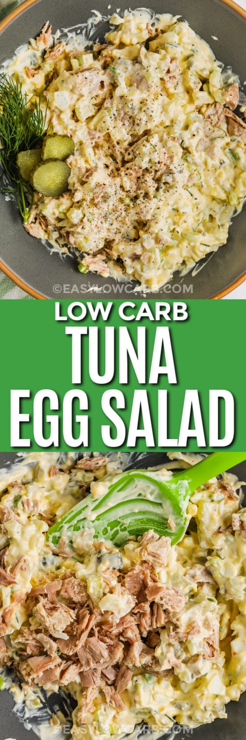 plated Tuna Egg Salad and close up photo with writing