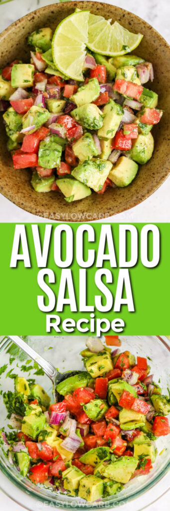 mixing Avocado Salsa Recipe in a bowl and plated dish with a title