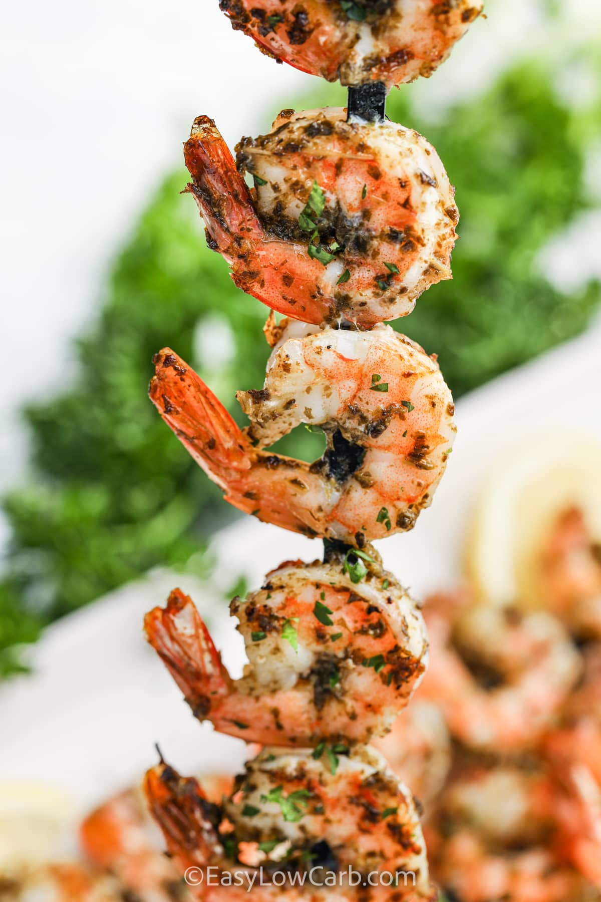close up of Grilled Shrimp Kabob Recipe