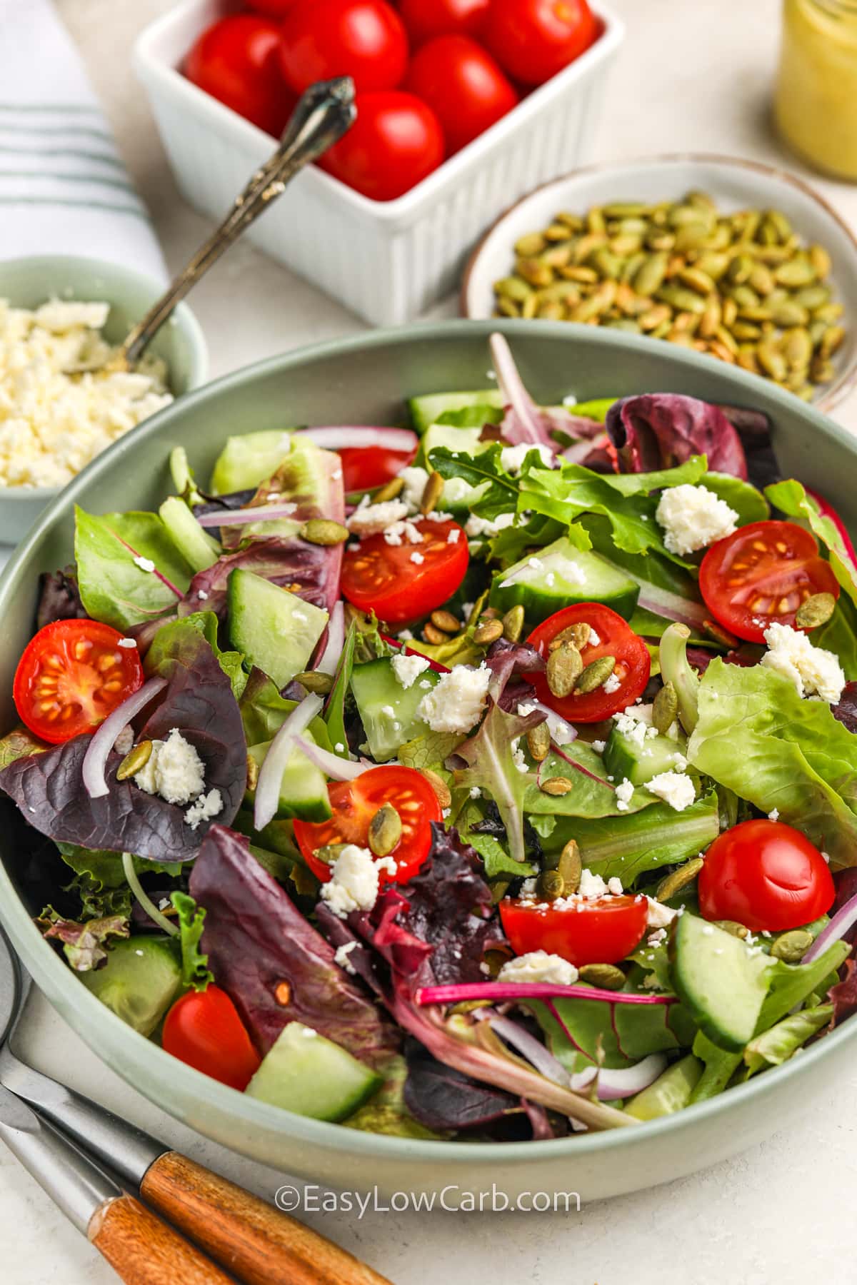 plated Spring Mix Salad with ingredients around it