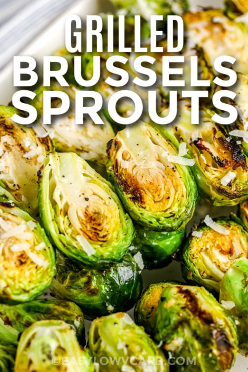grilled brussels sprouts woth text