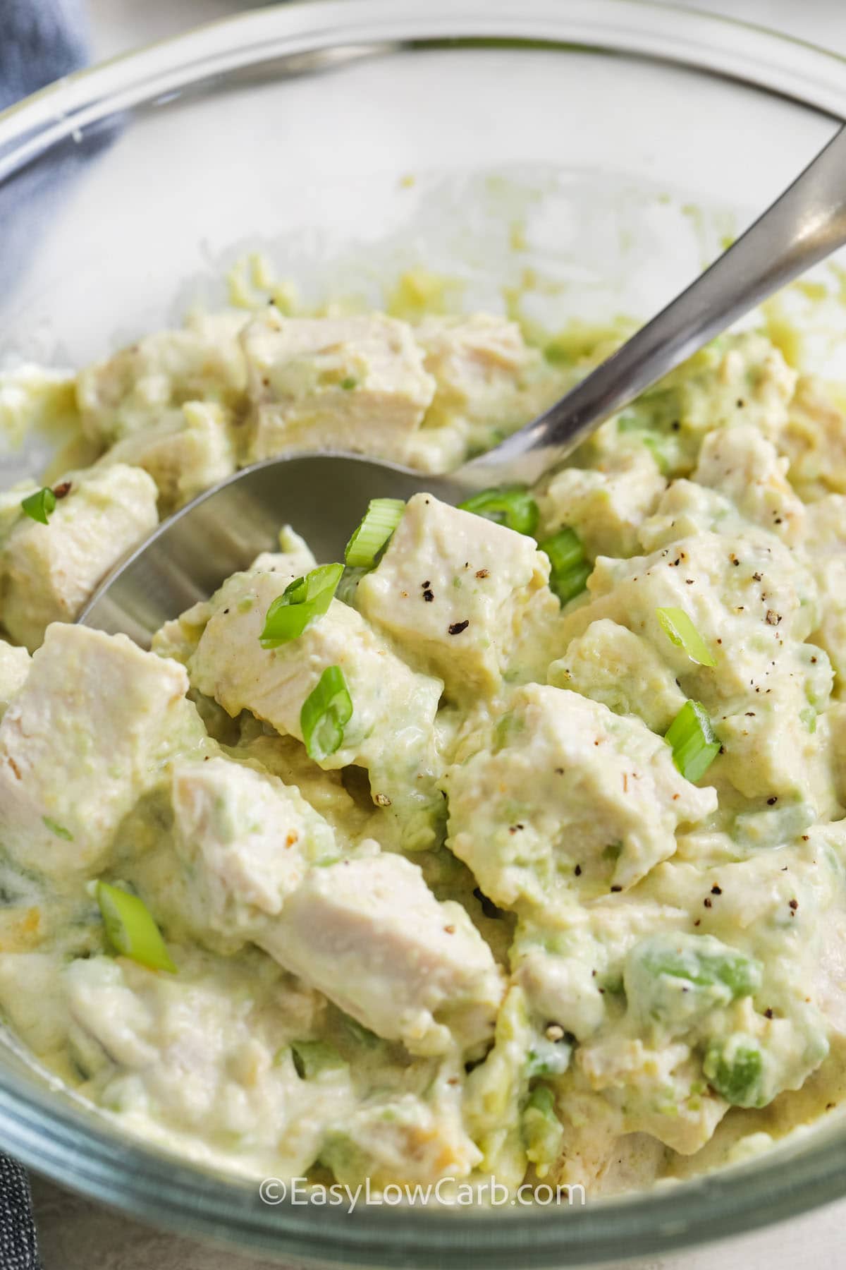 Avocado Chicken Salad with green onions