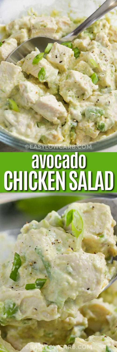 plated Avocado Chicken Salad and close up photo with a title