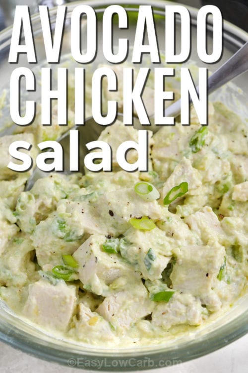 Avocado Chicken Salad with a title