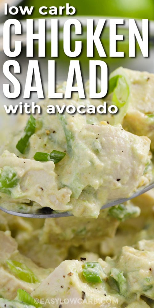 Avocado Chicken Salad on a spoon with writing
