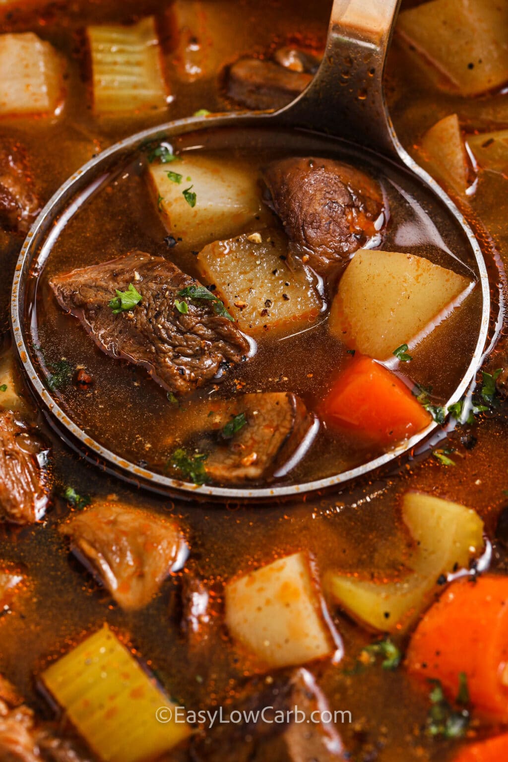 Homemade Vegetable Beef Soup (Hearty, Savory and Delicious) - Easy Low Carb