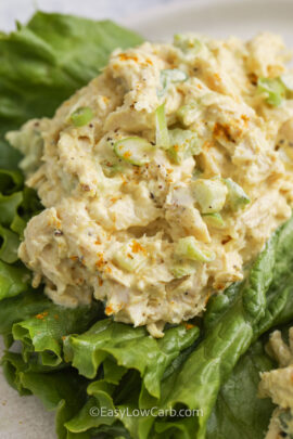 close up of Curry Chicken Salad