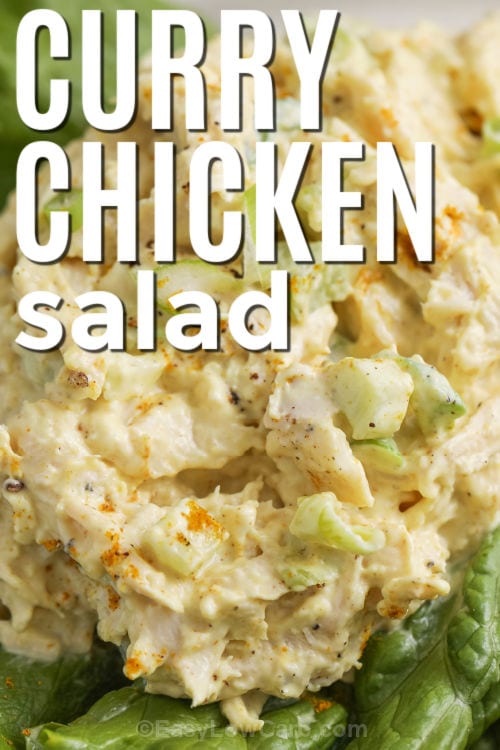 Curry Chicken Salad on lettuce with a title