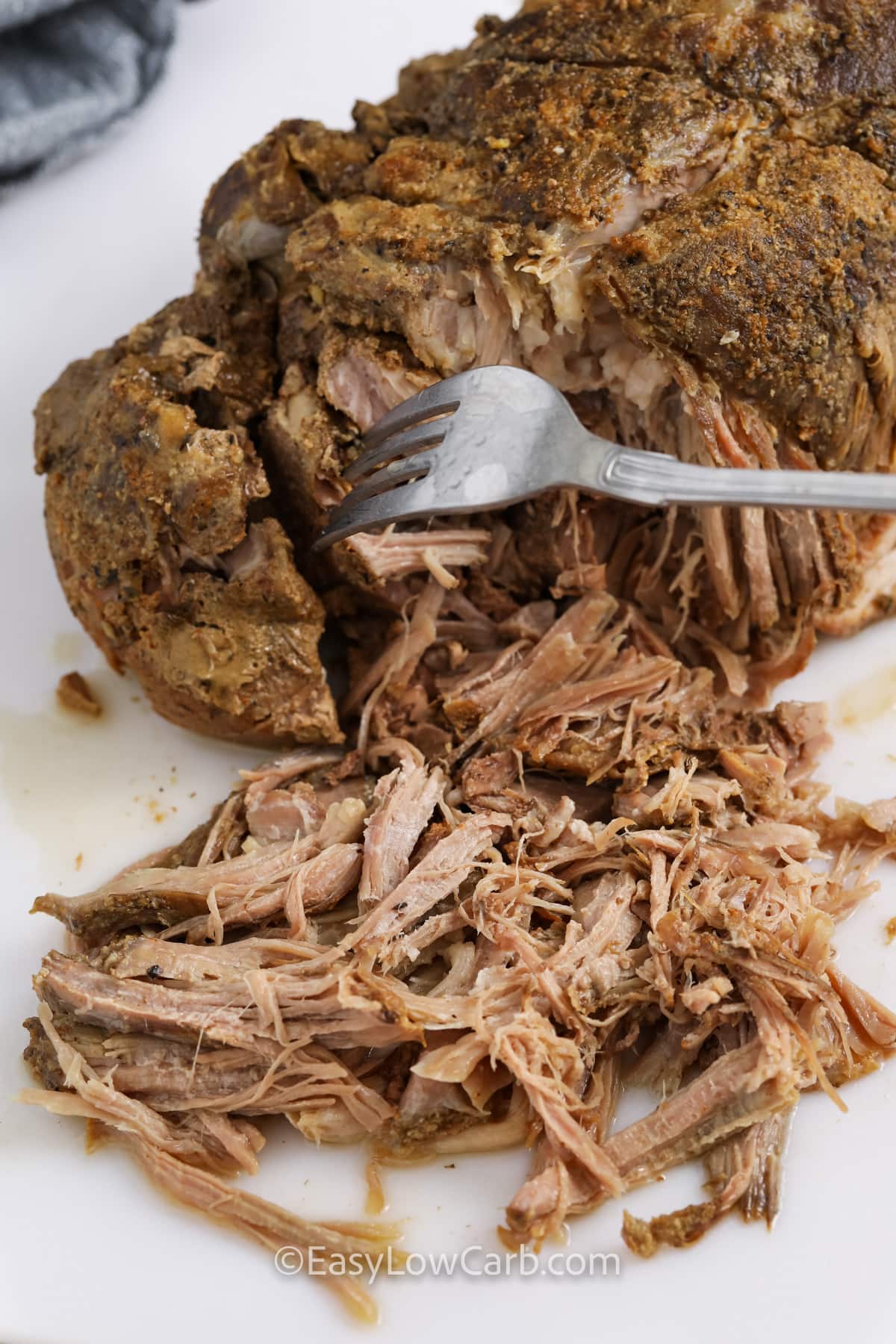 A fork being used to shred pulled pork