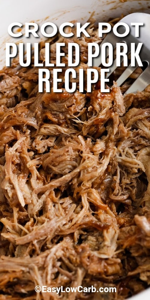 crockpot pulled pork with a title