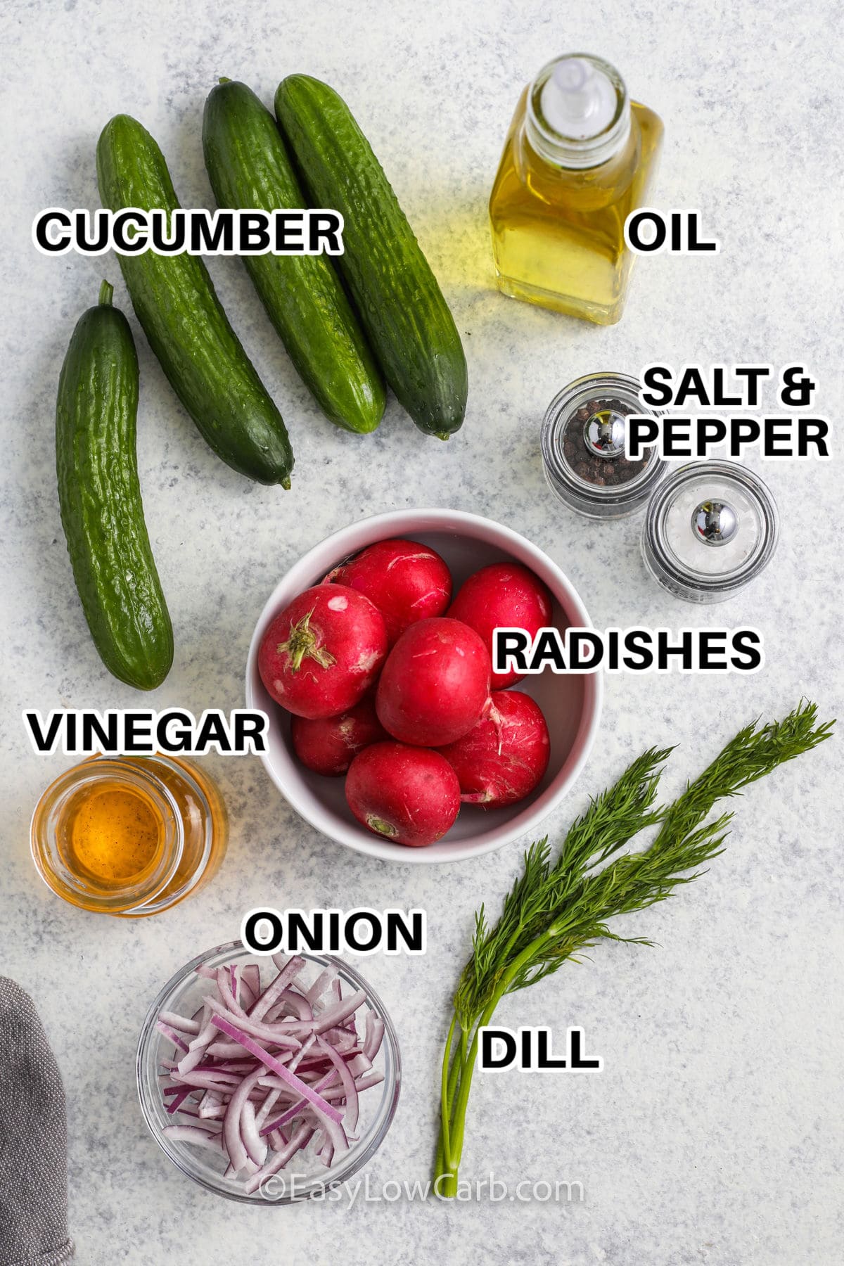 cucumber , oil , radishes , vinegar , onion , dill , salt and pepper with labels to make Cucumber Radish Salad