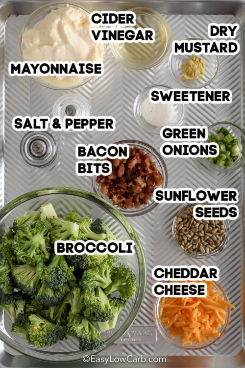 ingredients assembled to make keto broccoli salad including broccoli, bacon bits, cheese, green onions, mayonnaise, cider vinegar, mustard powder, sunflower seeds, and salt and pepper