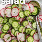 fresh Cucumber Radish Salad in a bowl with a title