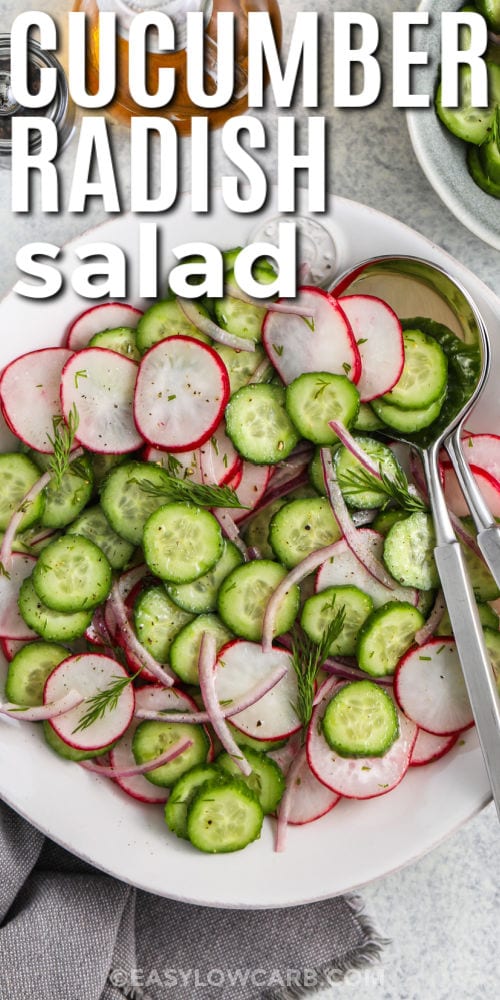 fresh Cucumber Radish Salad in a bowl with a title
