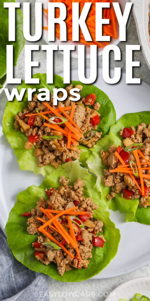 plate of Turkey Lettuce Wrap with writing