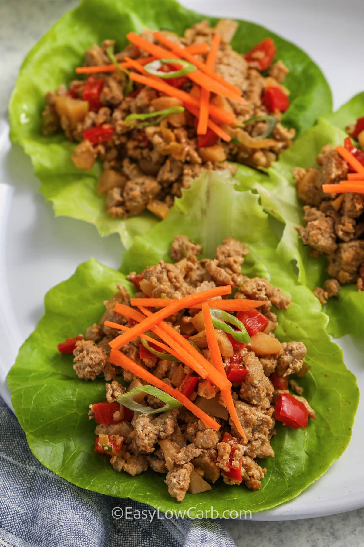 Turkey Lettuce Wraps with carrots