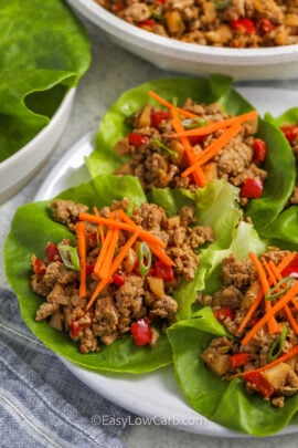 close up of Turkey Lettuce Wraps on a plate