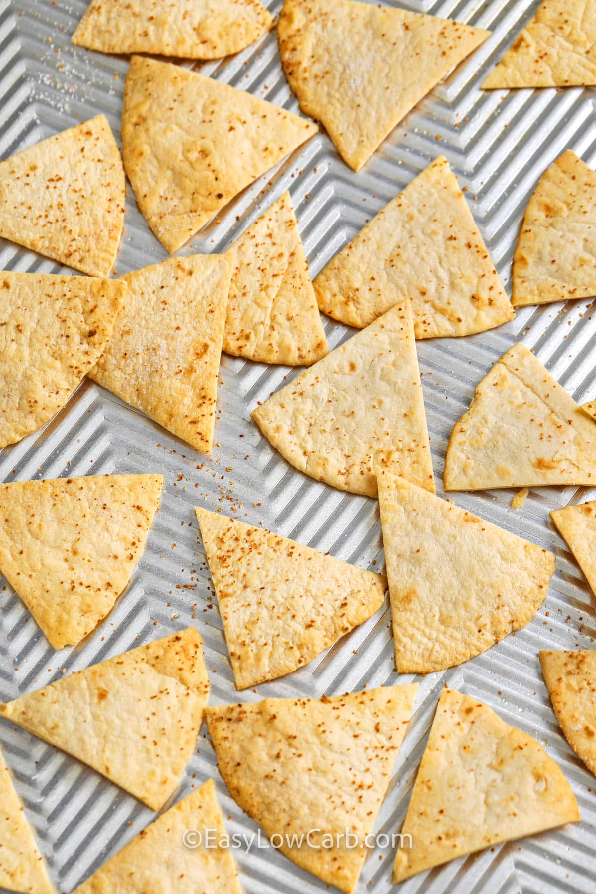 close up of Low Carb Tortilla Chips