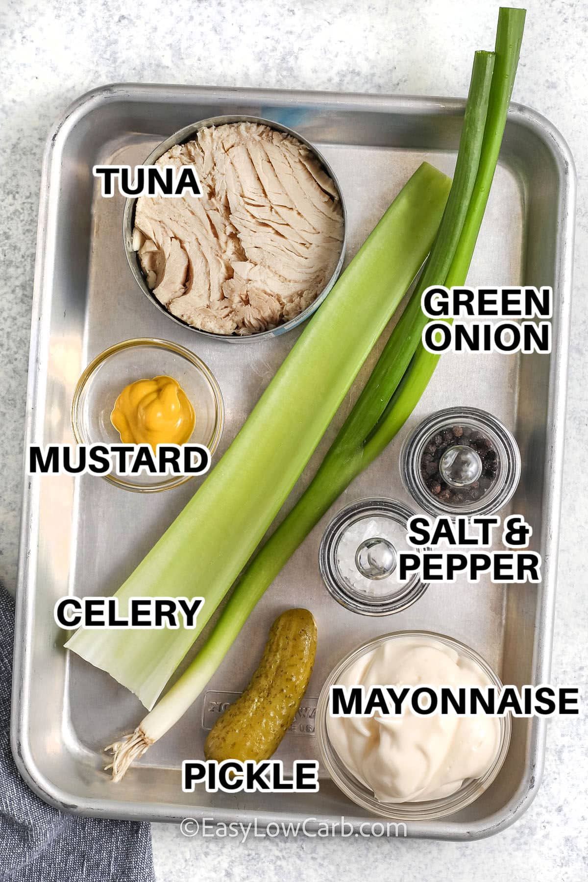 tuna , green onion , celery , mustard , mayonnaise , pickle , salt and pepper with labels to make Keto Tuna Salad