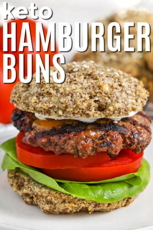 Keto Hamburger Buns with beef patty and a title