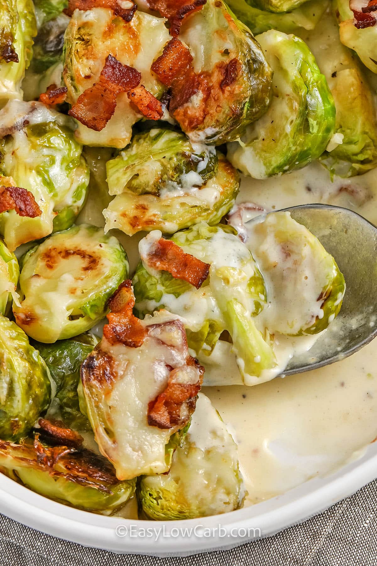 creamy Brussel Sprout Casserole