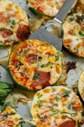 cropped zucchini pizza bites