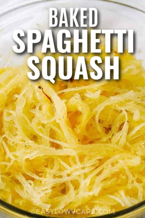 spaghetti squash with text