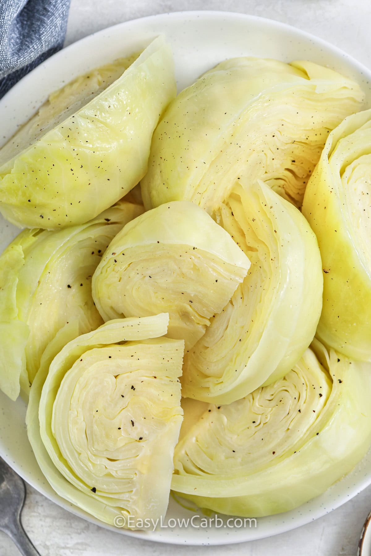 seasoned and boiled cabbage on a white plate