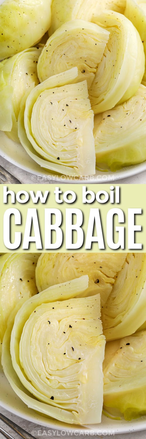 cooked cabbage on a plate with writing