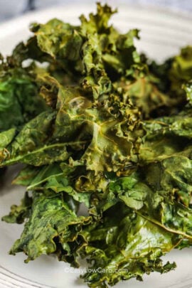 cropped ar fryer kale chips