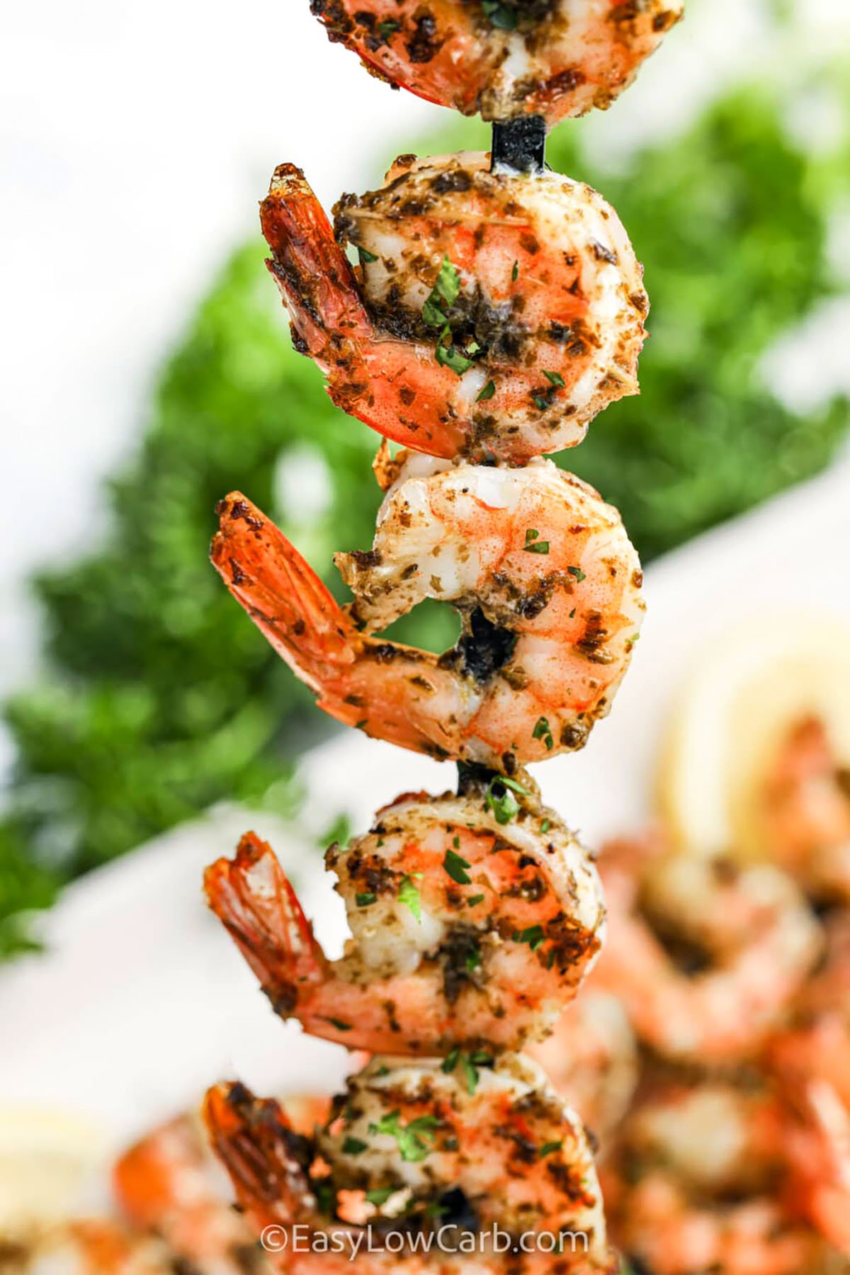 close up of Grilled Shrimp Kabobs Recipe on a skewer.