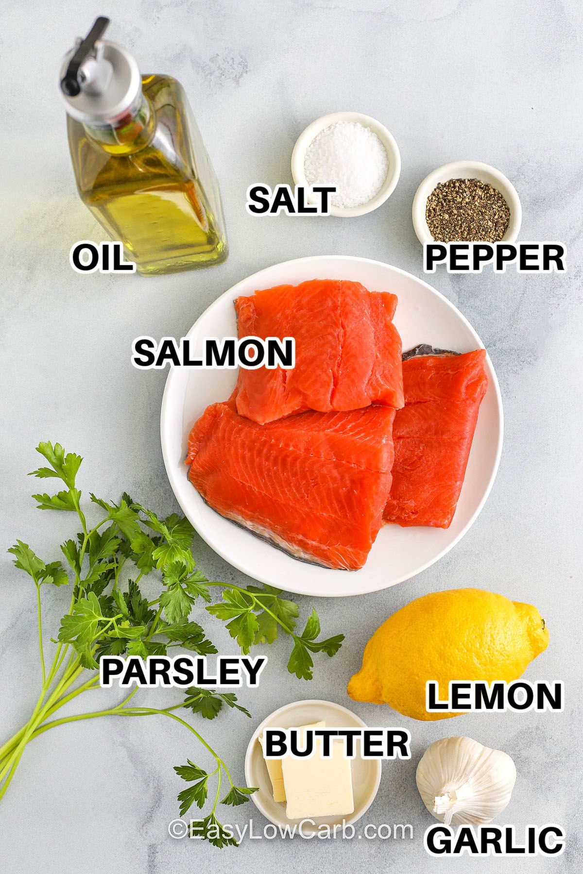 salmon , oil , parsley , butter , lemon , garlic , salt and pepper with labels to make Salmon Bites Recipe