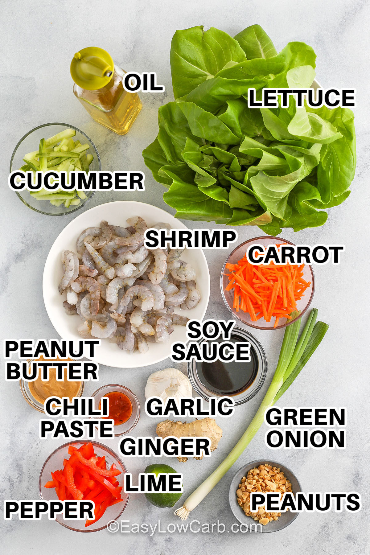 oil , lettuce , cucumber , shrimp , carrot , soy sauce , peanut butter , chili paste , pepper , lime , ginger , garlic , green onion , peanuts with labels to make Shrimp Lettuce Wraps