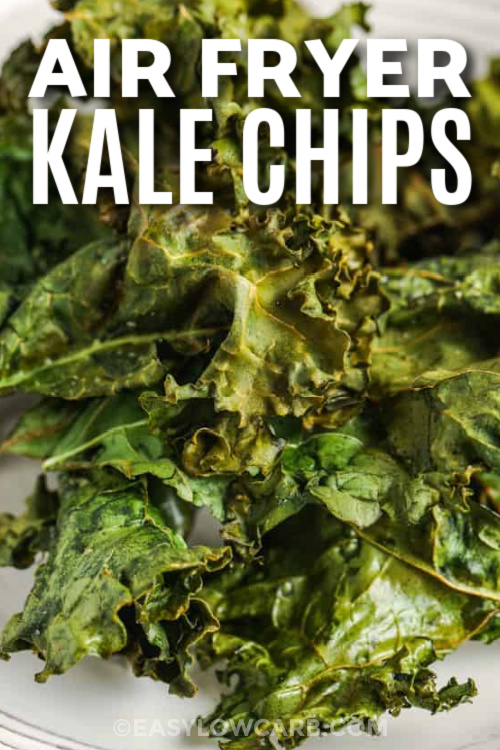 air fryer kale chips with text