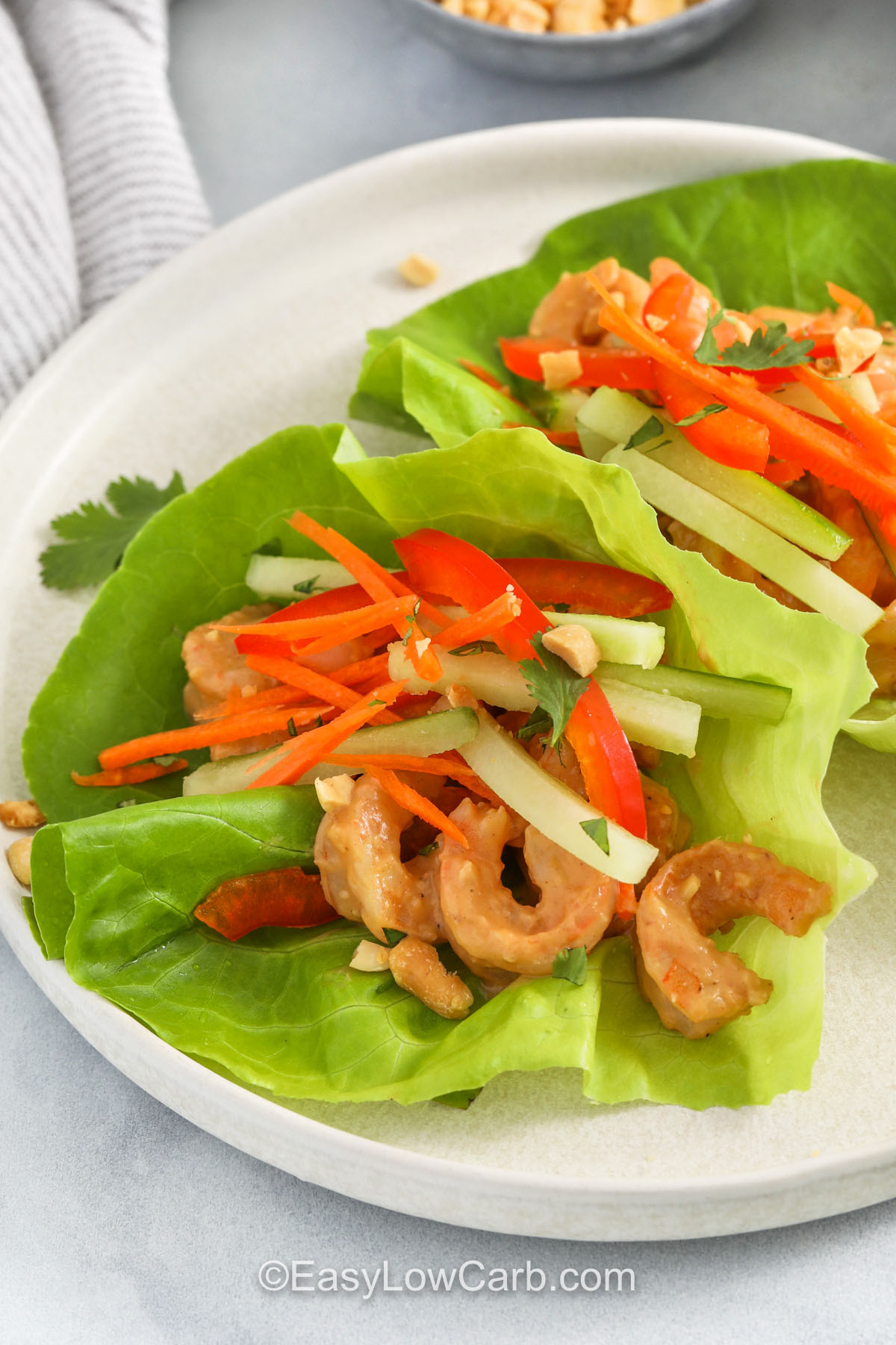 close up of Shrimp Lettuce Wraps