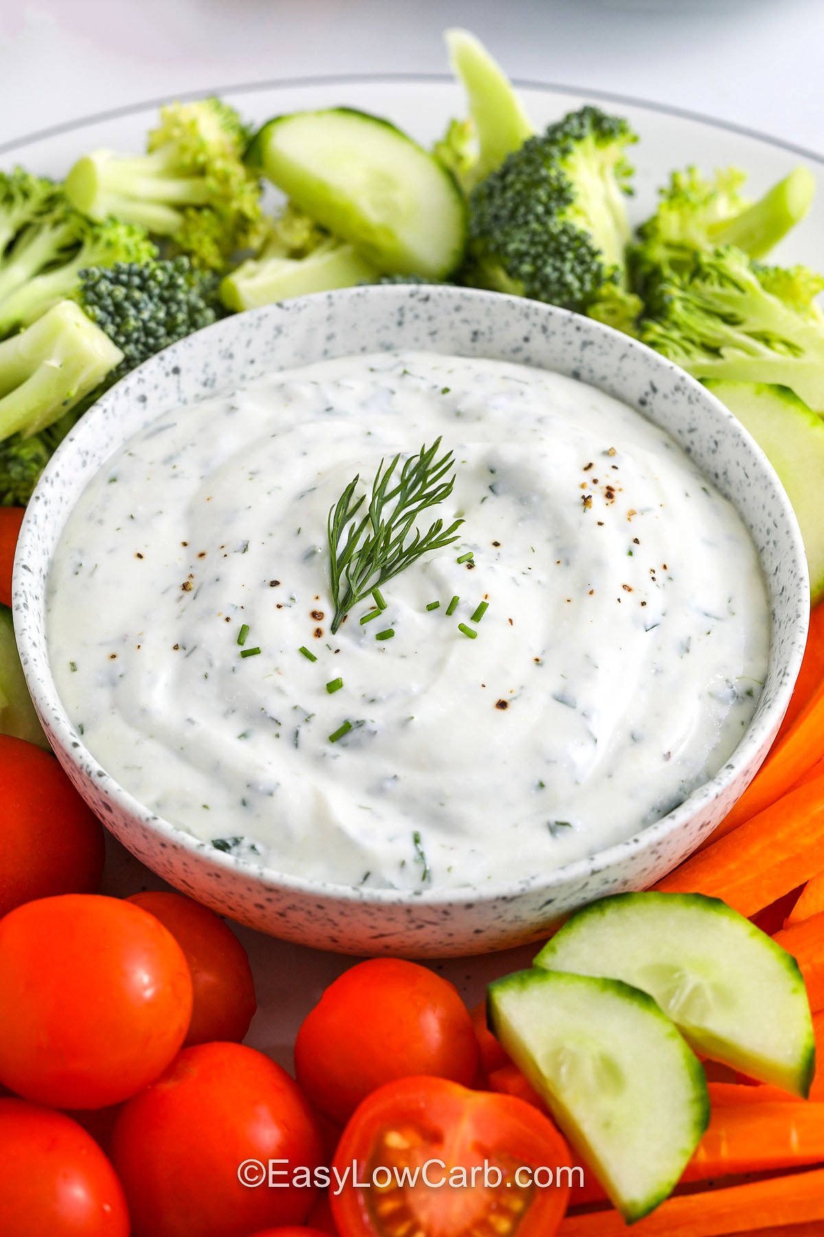 close up of a bowl of Cottage Cheese Ranch Dip