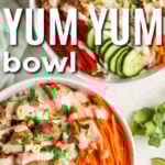 plated dishes of Yum Yum Bowl with writing