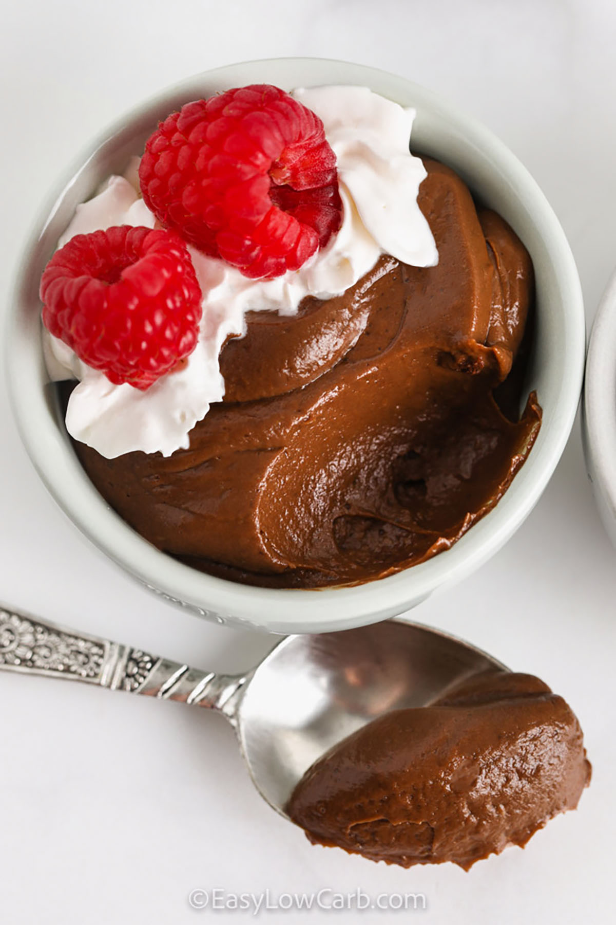 Avocado Chocolate Mousse in a bowl and on a spoon